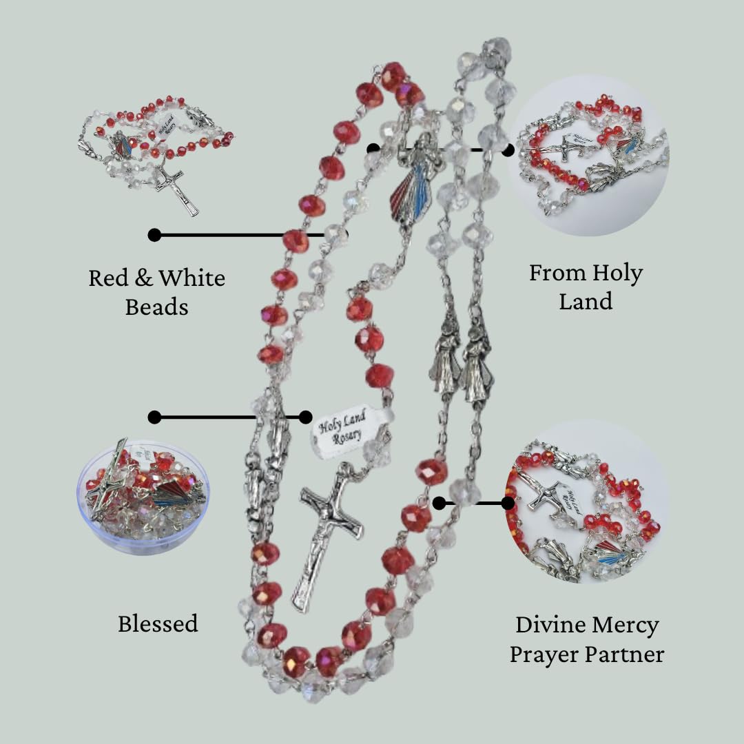 Varieties of Catholic Rosary Prayer Beads Collections (Brown Scapular)